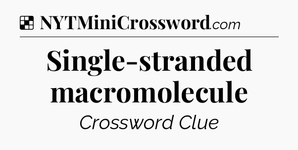 Solution: Single-stranded macromolecule - NYT Crossword