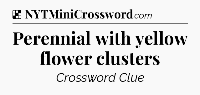 Solution: Perennial with yellow flower clusters - NYT Crossword