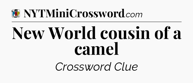 New World cousin of a camel Crossword Clue