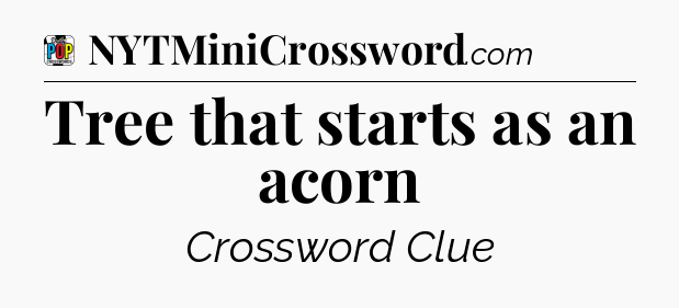 Tree that starts as an acorn Crossword Clue