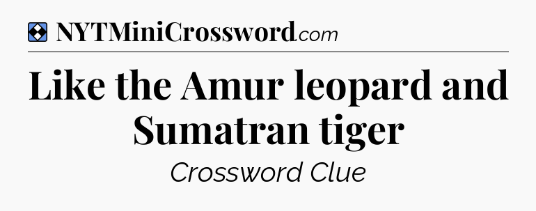 Solution: Like the Amur leopard and Sumatran tiger - NYT Mini Crossword