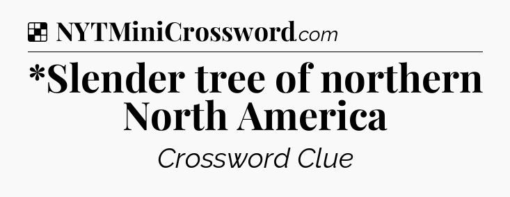 Solution: *Slender tree of northern North America - NYT Crossword