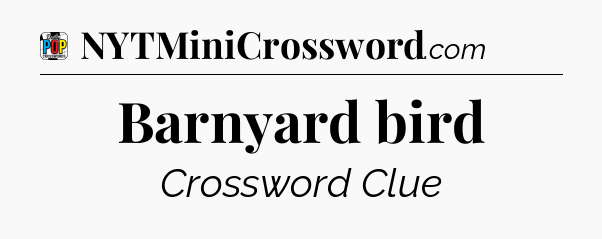 Barnyard bird Crossword Clue