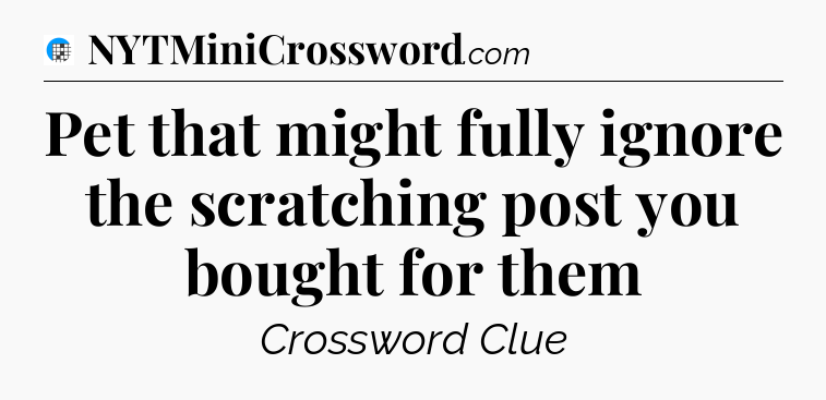 Pet that might fully ignore the scratching post you bought for them Crossword Clue