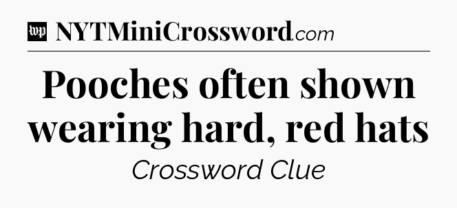 Pooches often shown wearing hard, red hats Crossword Clue