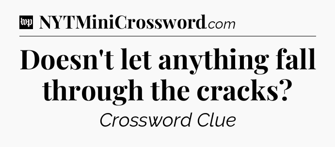 Doesn't let anything fall through the cracks Crossword Clue