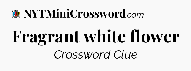 Fragrant white flower Crossword Clue