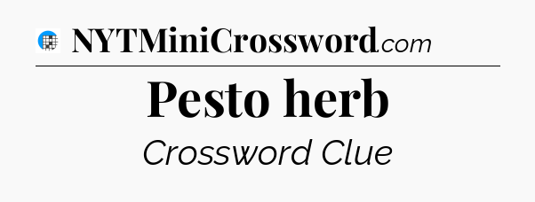 Pesto herb Crossword Clue