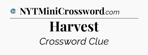 Harvest Crossword Clue