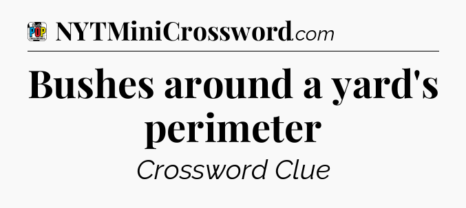 Bushes around a yard's perimeter Crossword Clue