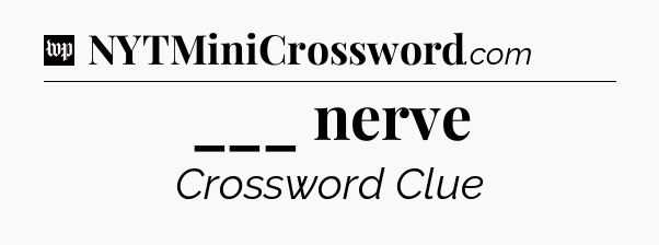 ___ nerve Crossword Clue