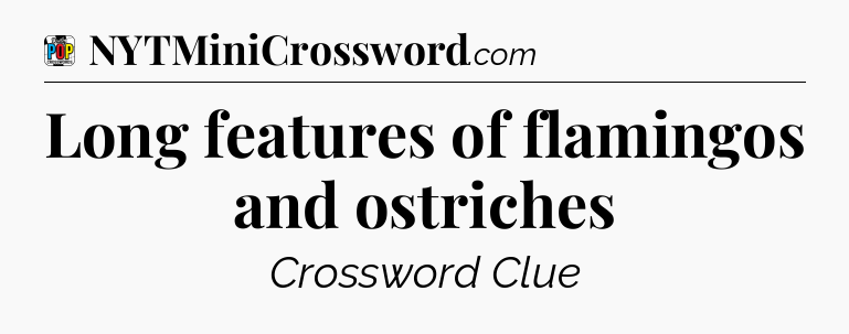 Long features of flamingos and ostriches Crossword Clue