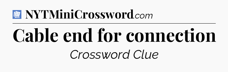 Cable end for connection Puzzle Page Crossword Clue