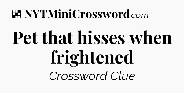 Solution: Pet that hisses when frightened - NYT Crossword