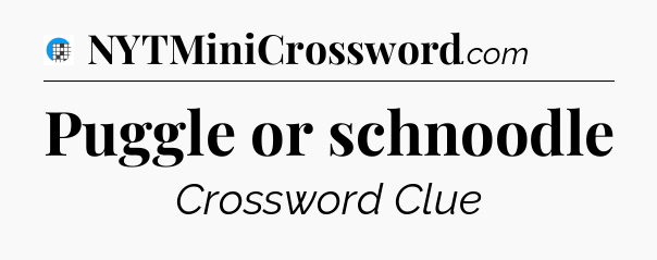 Puggle or schnoodle Crossword Clue