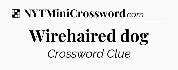 Solution: Wirehaired dog - NYT Crossword