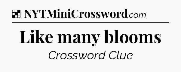 Solution: Like many blooms - NYT Crossword