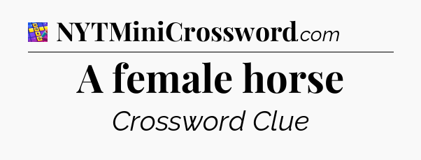 A female horse Codycross