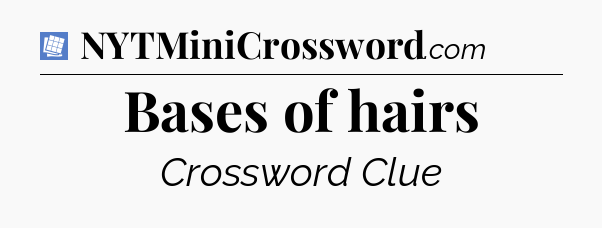 Bases of hairs Puzzle Page Crossword Clue
