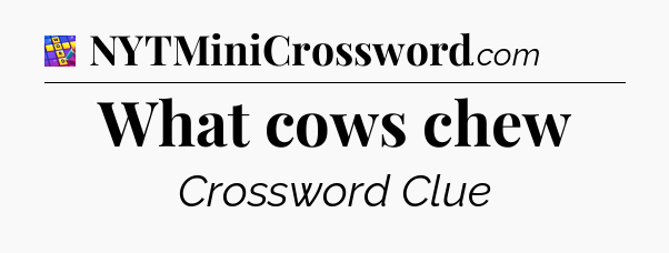 What cows chew Codycross