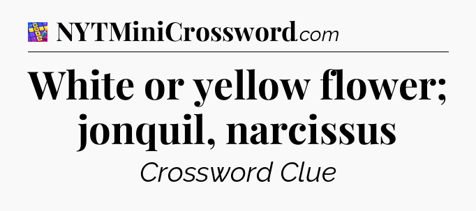 White or yellow flower; jonquil, narcissus Codycross
