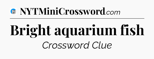 Bright aquarium fish Crossword Clue