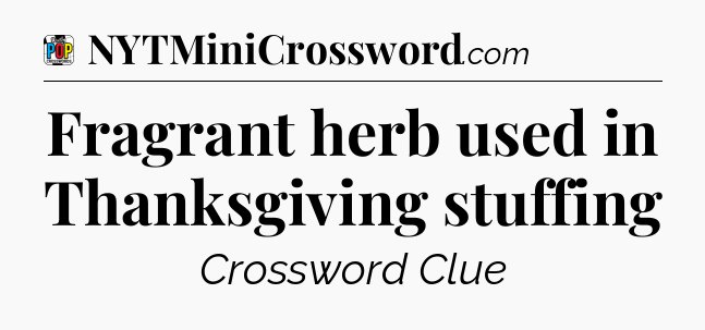 Fragrant herb used in Thanksgiving stuffing Crossword Clue