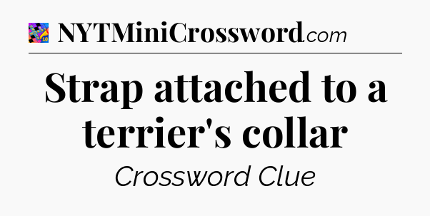 Strap attached to a terrier's collar Crossword Clue