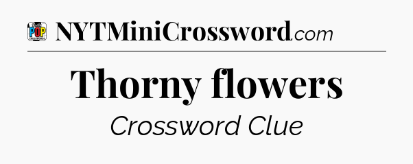 Thorny flowers Crossword Clue