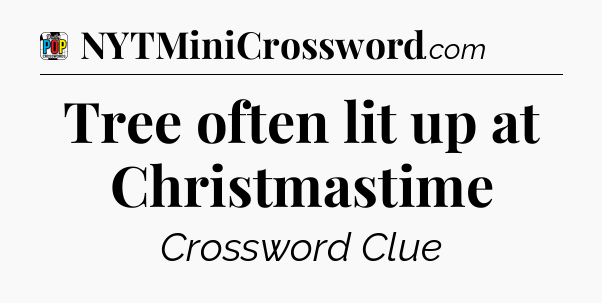 Tree often lit up at Christmastime Crossword Clue