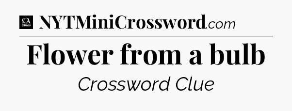 Flower from a bulb - LA Times Crossword