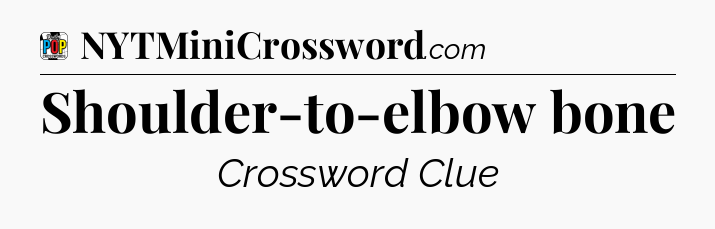 Shoulder-to-elbow bone Crossword Clue