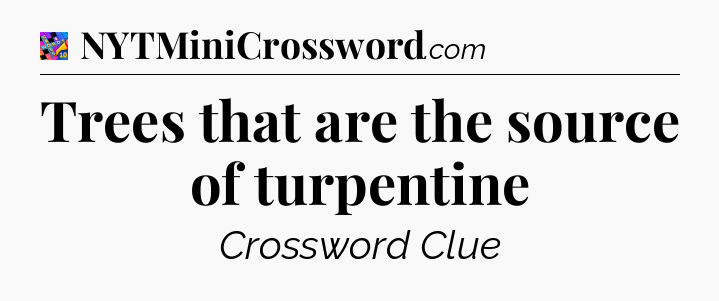 Trees that are the source of turpentine Crossword Clue
