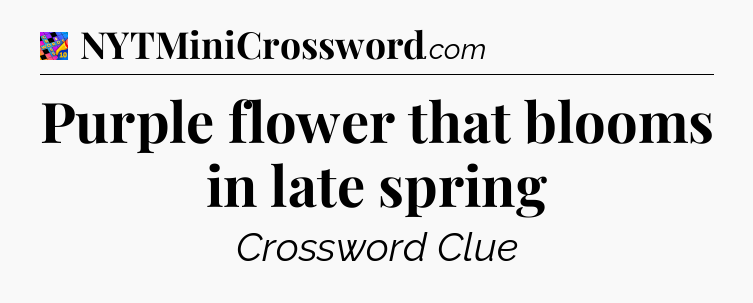 Purple flower that blooms in late spring Crossword Clue