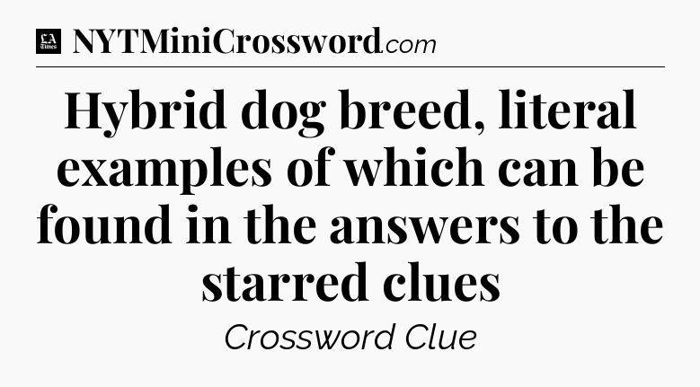 Hybrid dog breed, literal examples of which can be found in the answers to the starred clues - LA Times Crossword