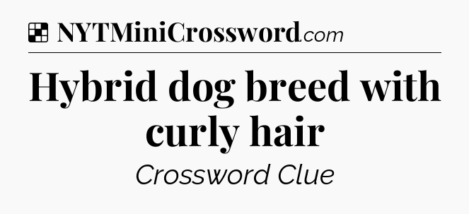 Solution: Hybrid dog breed with curly hair - NYT Crossword