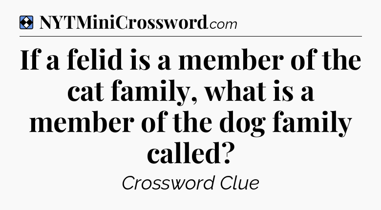 Solution: If a felid is a member of the cat family, what is a member of the dog family called - NYT Mini Crossword