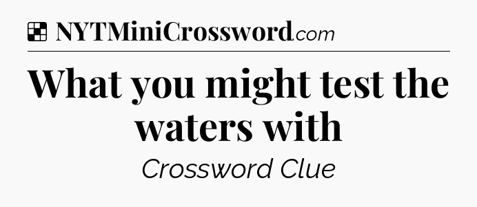Solution: What you might test the waters with - NYT Crossword