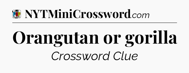 Orangutan or gorilla Crossword Clue