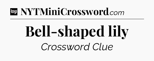 Bell-shaped lily Crossword Clue