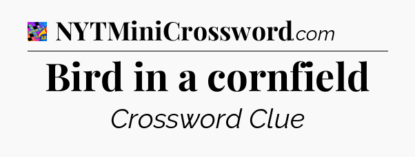 Bird in a cornfield Crossword Clue