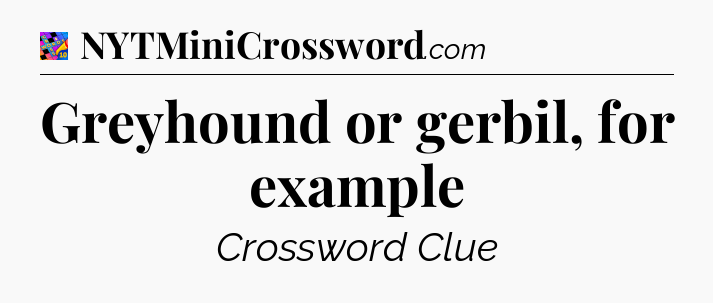 Greyhound or gerbil, for example Crossword Clue