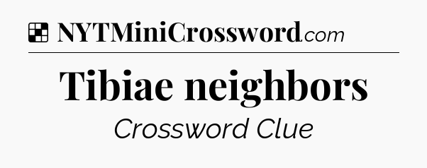 Solution: Tibiae neighbors - NYT Crossword