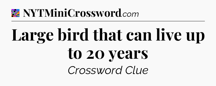 Large bird that can live up to 20 years Crossword Clue