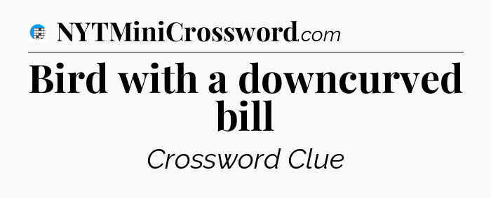 Bird with a downcurved bill Crossword Clue