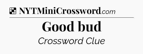 Solution: Good bud - NYT Crossword