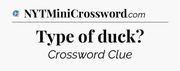 Type of duck Crossword Clue