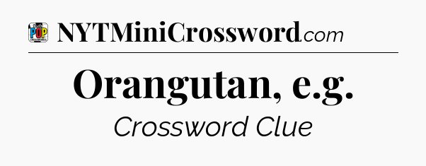 Orangutan, e.g Crossword Clue