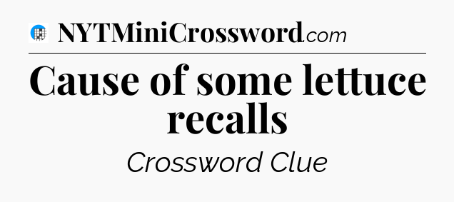 Cause of some lettuce recalls Crossword Clue