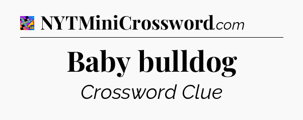 Baby bulldog Crossword Clue